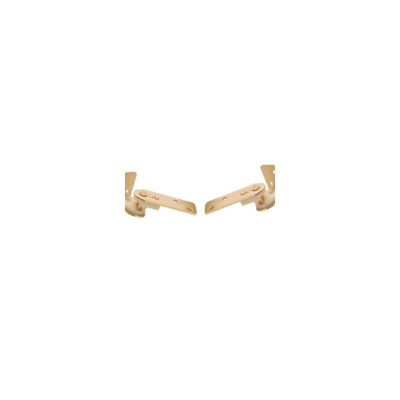 002-0013 Bisagra de Gravedad