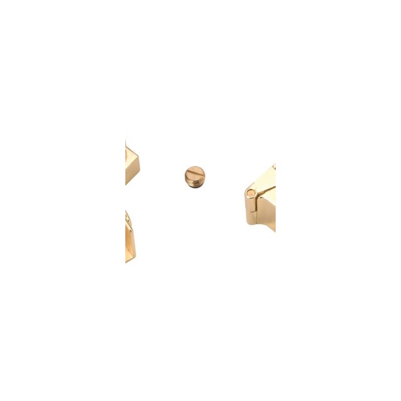 079-0158 Bisagra para Puerta de Cristal Latón Brillante