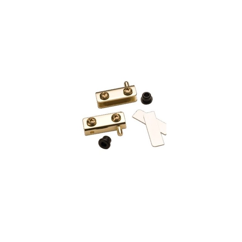 079-0007 Bisagra para Vidrio Latón Brillante Tornillos de Metal